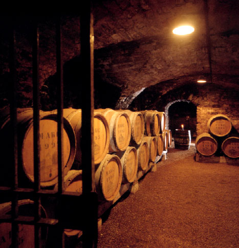 img cellar of Santenay